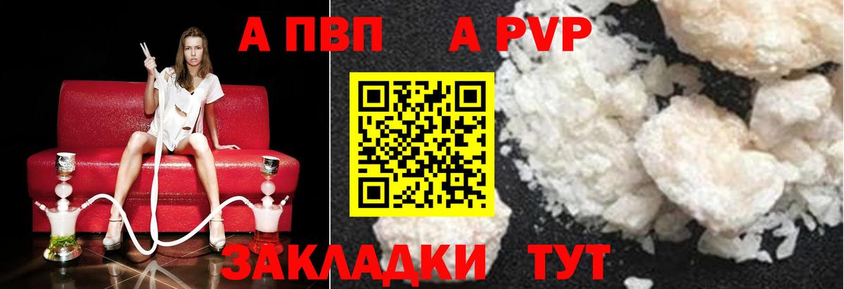 Alfa_PVP СК Тверь