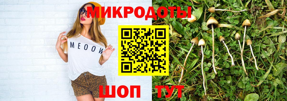 Псилоцибиновые грибы Psilocybe  Вход с VPN  Псилоцибиновые грибы Psilocybine cubensis  Тверь 